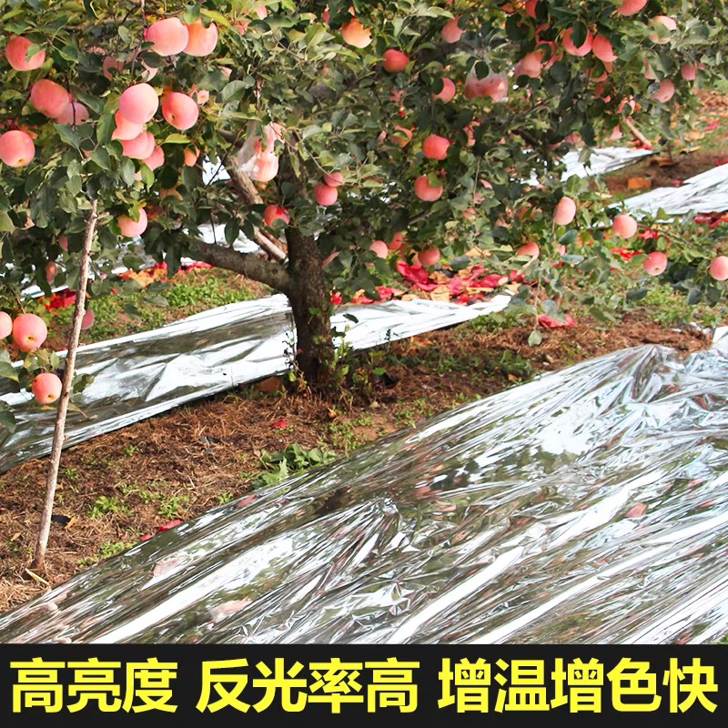 雅安市地膜果树反光膜 - 价格